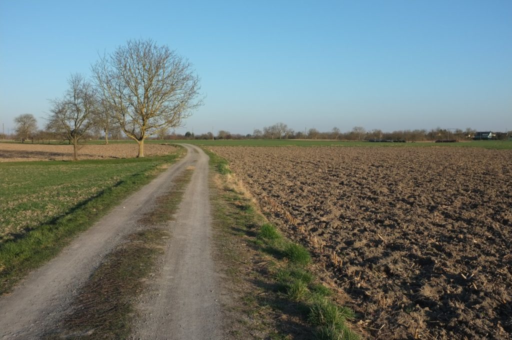 Feldweg