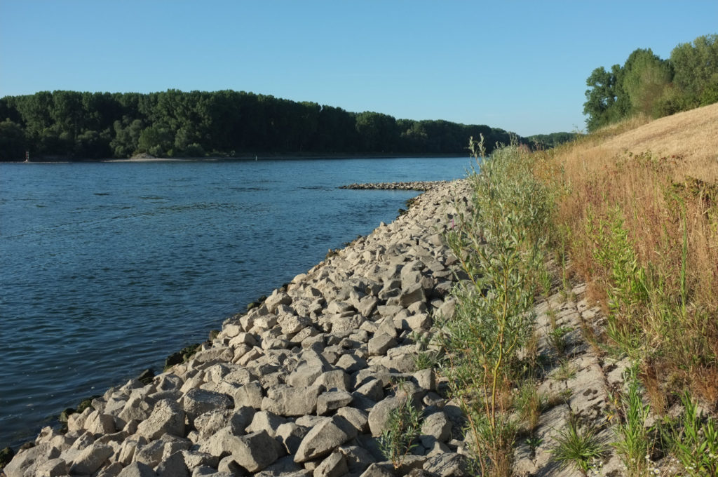 Rhein, Niedrigwasser, August 2022