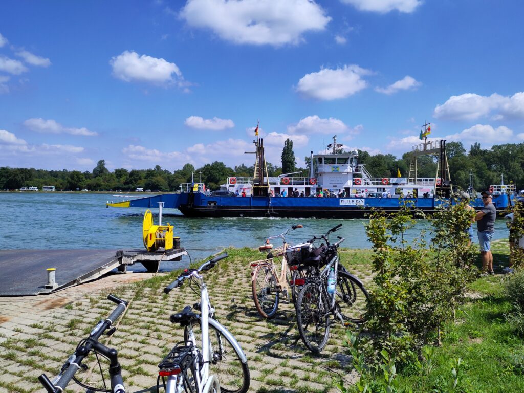 Rheinfähre bei Sondernheim